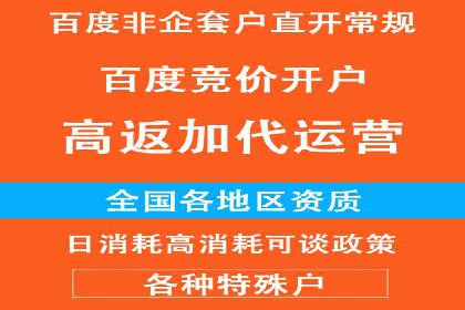 案例解析：SEM托管代运营团队风采